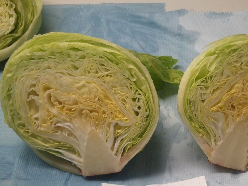 Harvest practices for lettuce